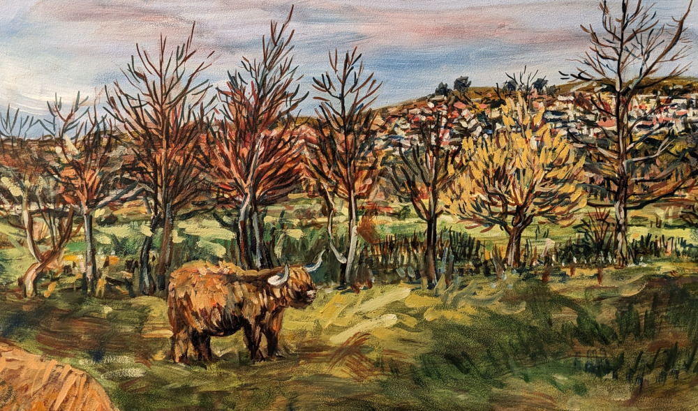 Highland cow